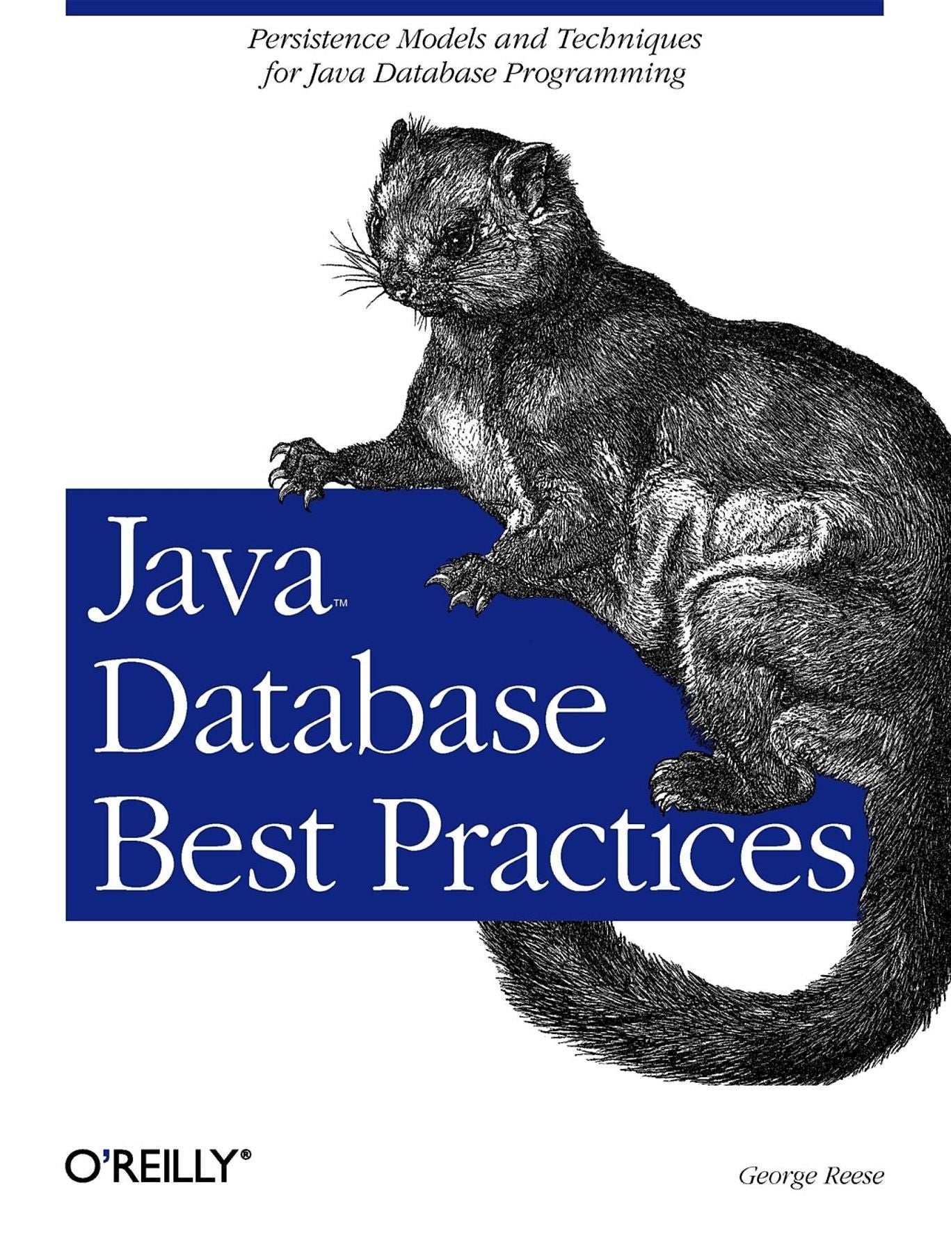 Java Database Best Practices: Persistence Models and Techniques for Java Database Programming
