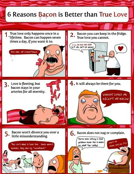5 Very Good Reasons to Punch a Dolphin in the Mouth (And Other Useful Guides)
