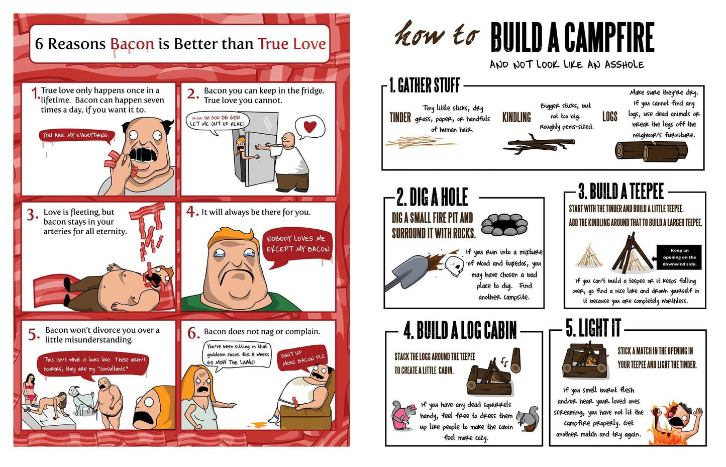 5 Very Good Reasons to Punch a Dolphin in the Mouth (And Other Useful Guides)