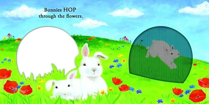 Hop, Pop, and Play: A Mini Animotion Book