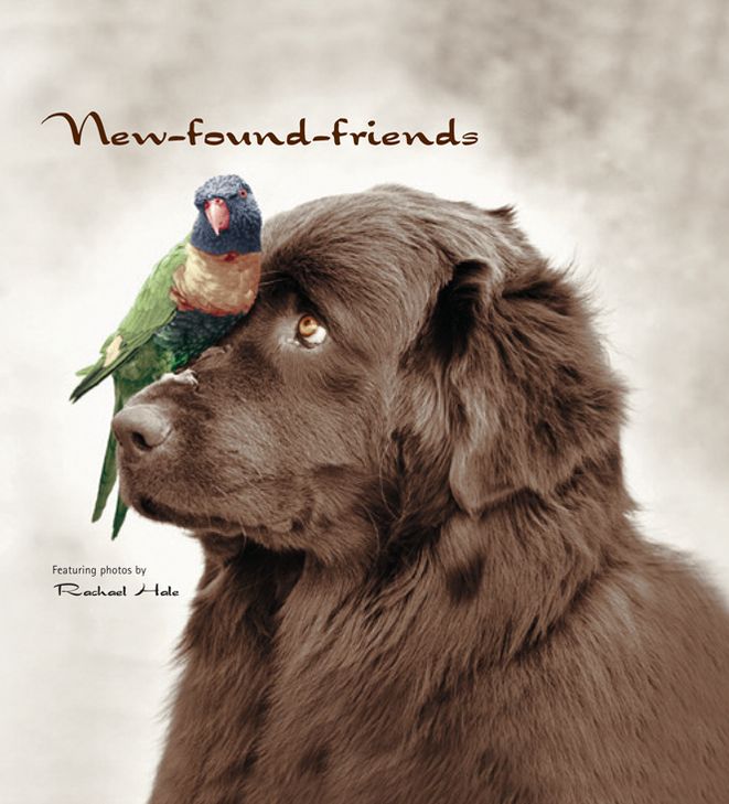 New-Found-Friends