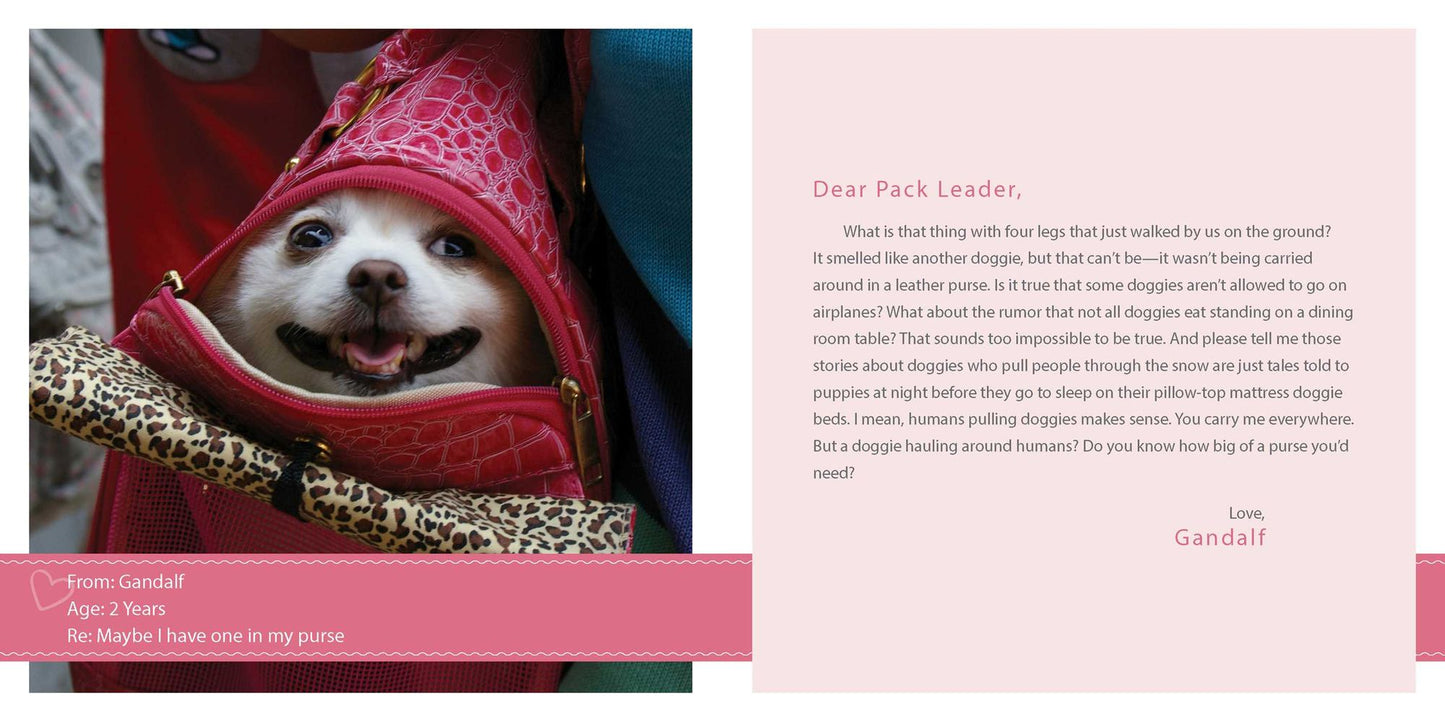 Sorry I Pooped in Your Shoe: (and Other Heartwarming Letters from Doggie)