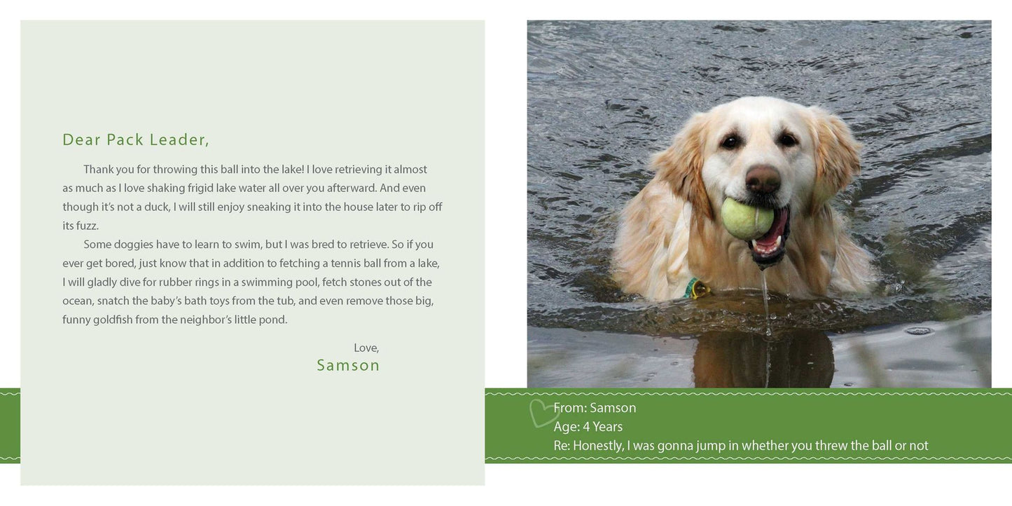 Sorry I Pooped in Your Shoe: (and Other Heartwarming Letters from Doggie)