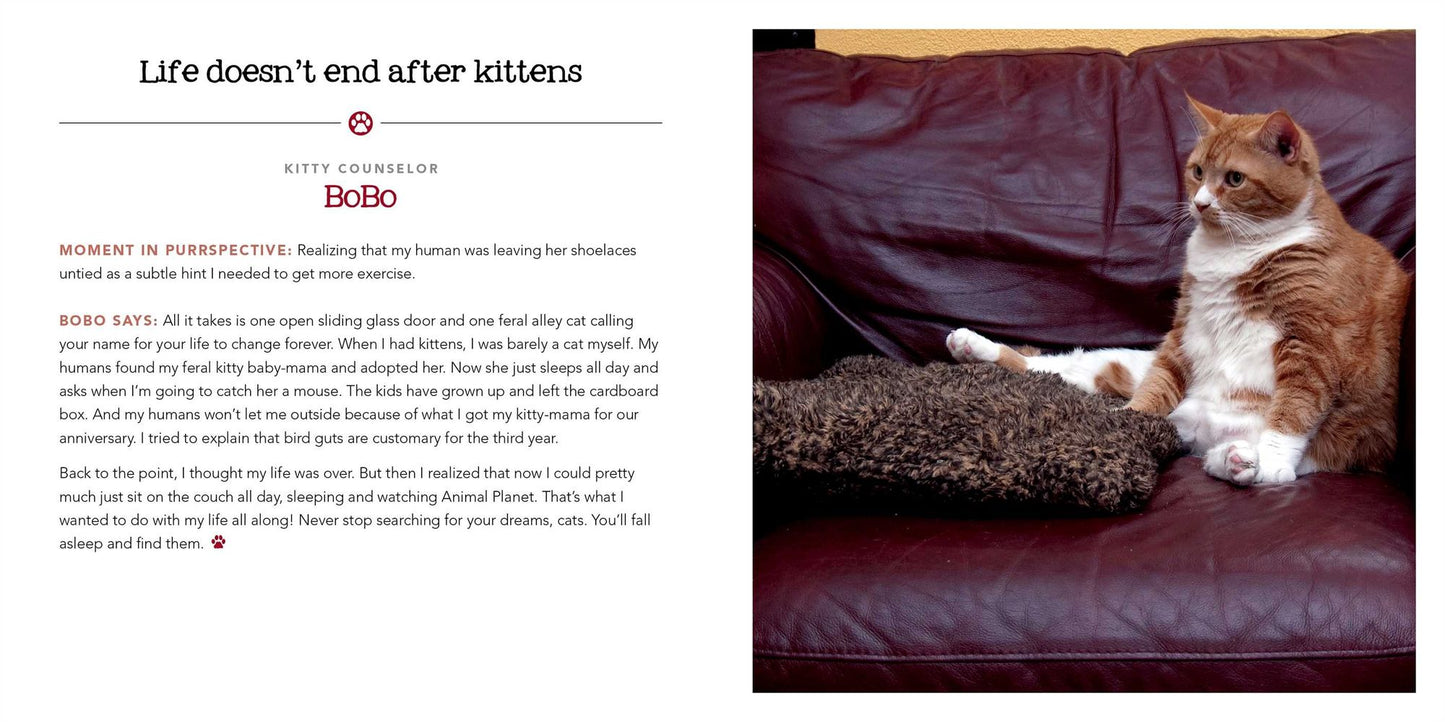 Stink Outside the Box: Life Advice from Kitty