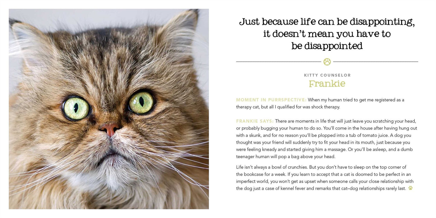 Stink Outside the Box: Life Advice from Kitty