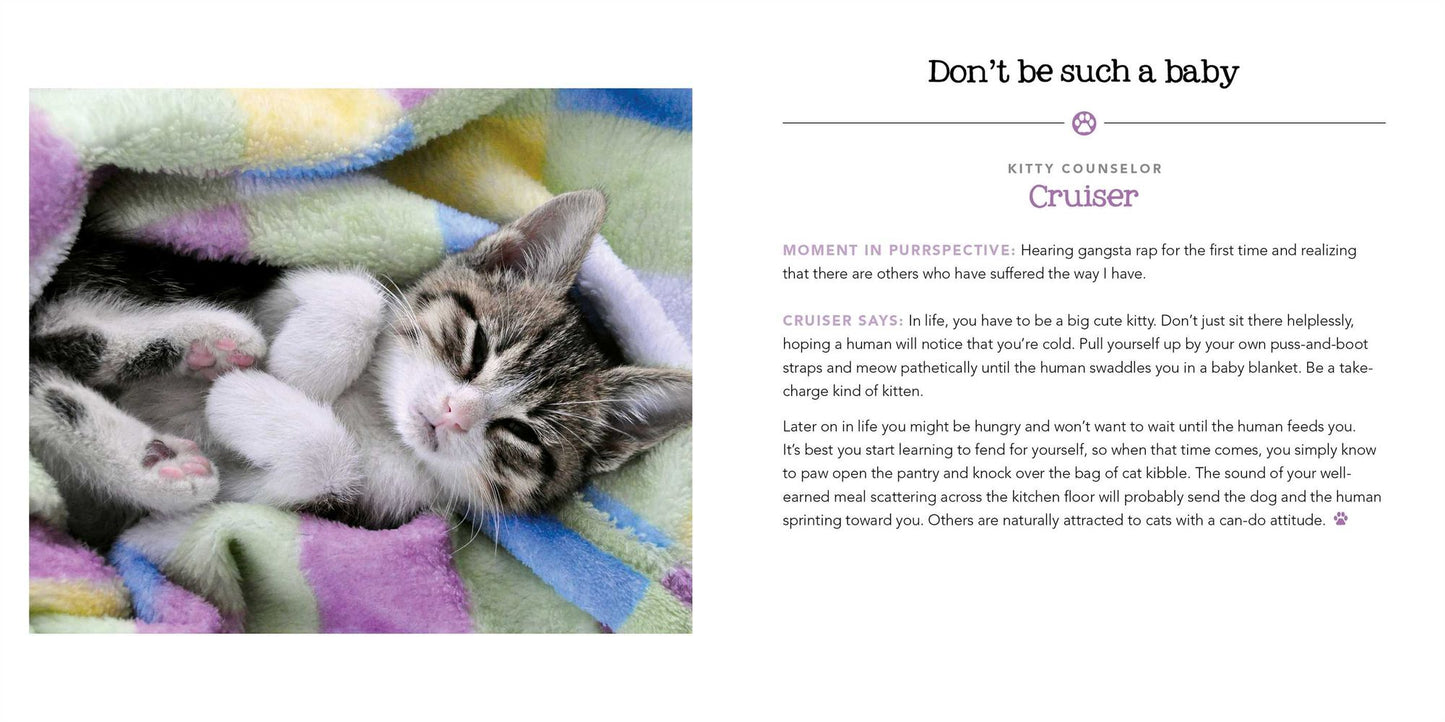 Stink Outside the Box: Life Advice from Kitty