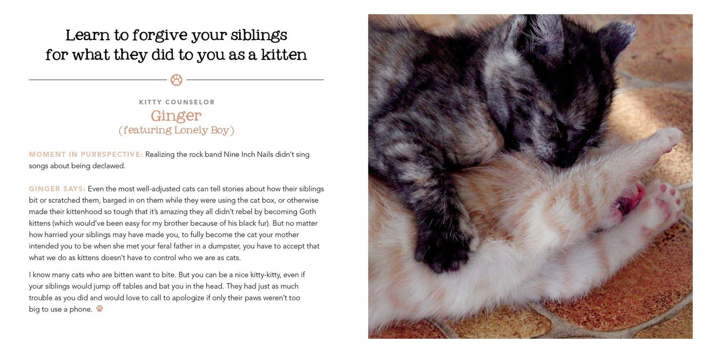 Stink Outside the Box: Life Advice from Kitty