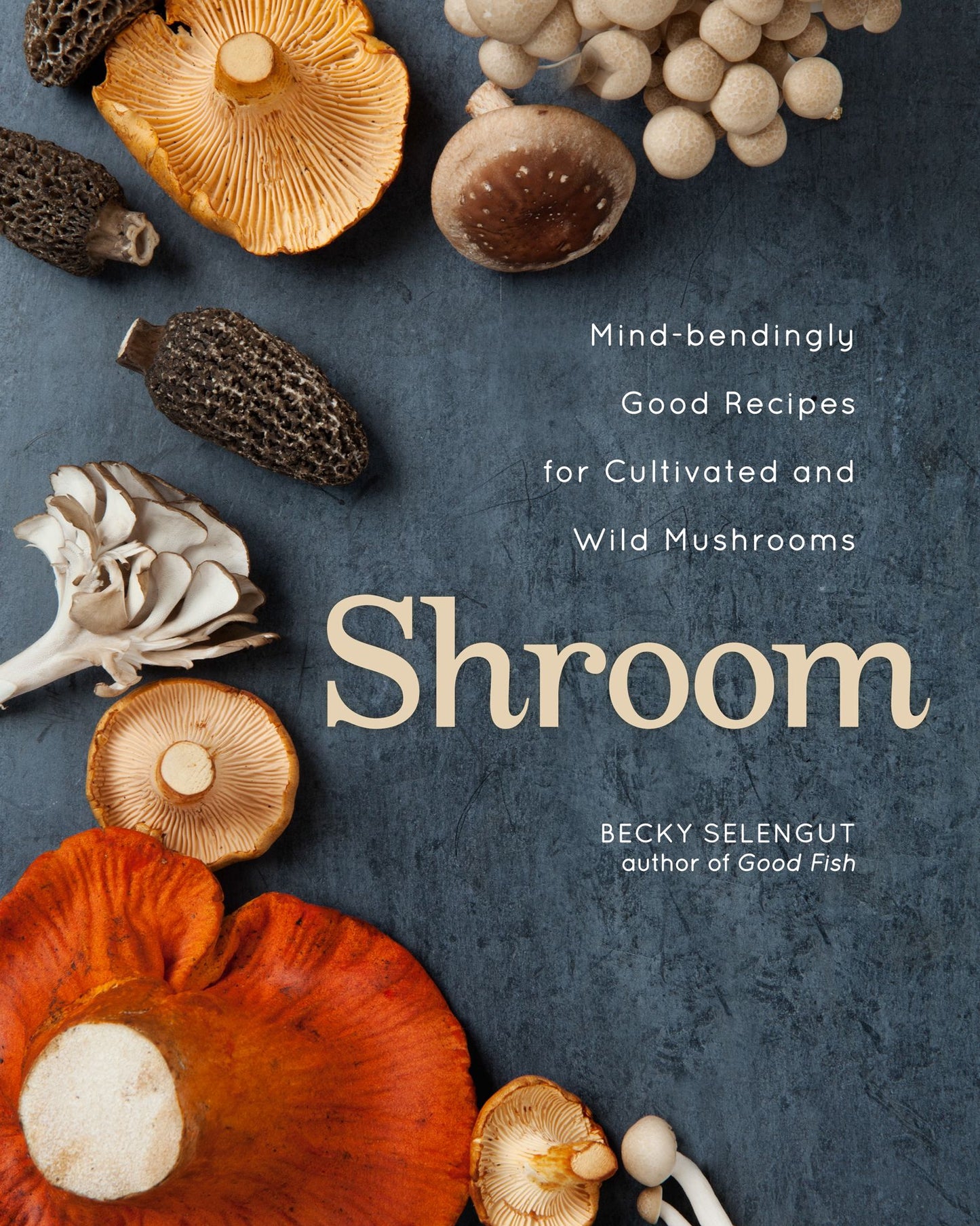 Shroom (PagePerfect NOOK Book): Mind-bendingly Good Recipes for Cultivated and Wild Mushrooms