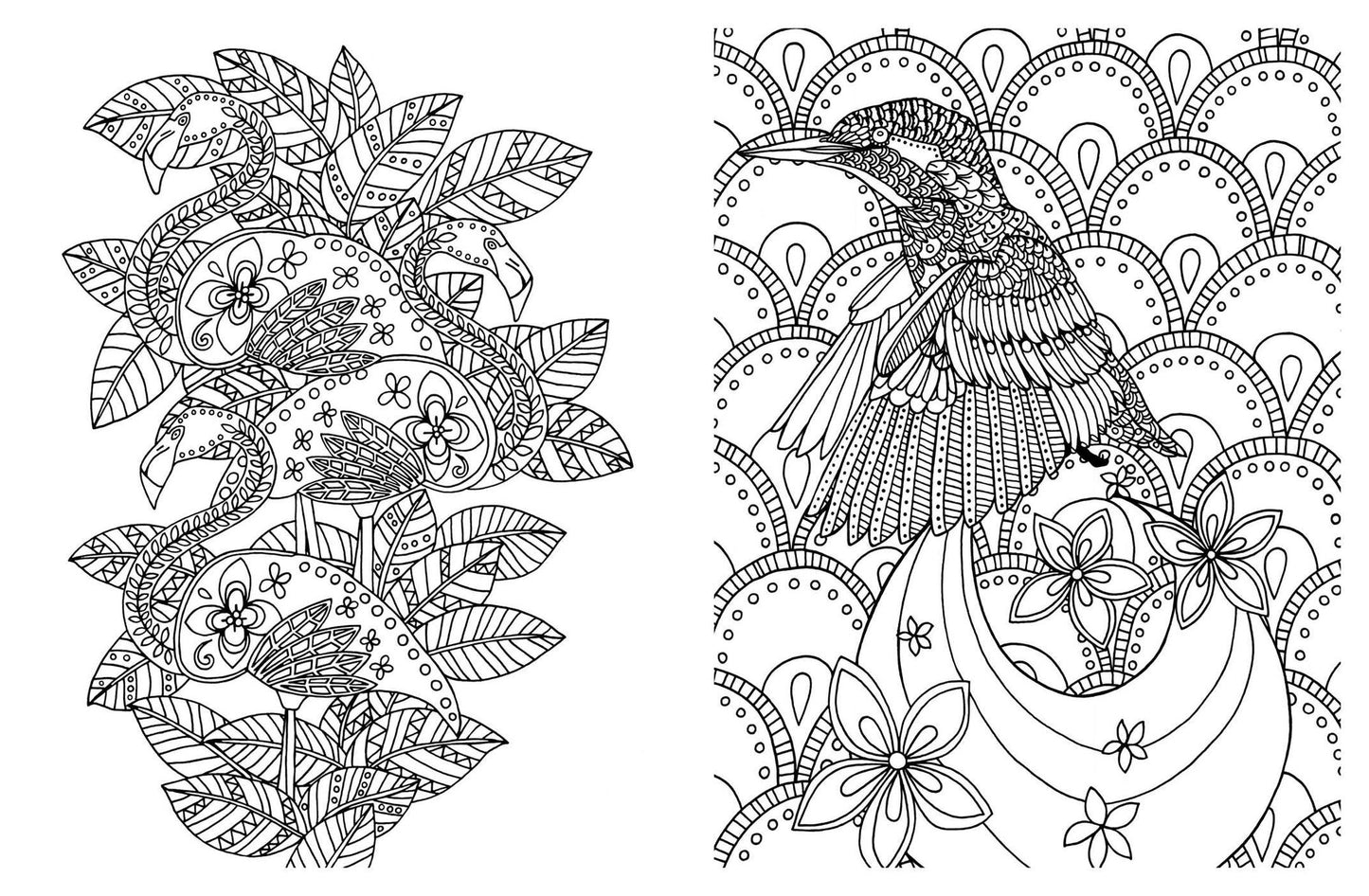 Posh Adult Coloring Book: Soothing Designs for Fun and Relaxation