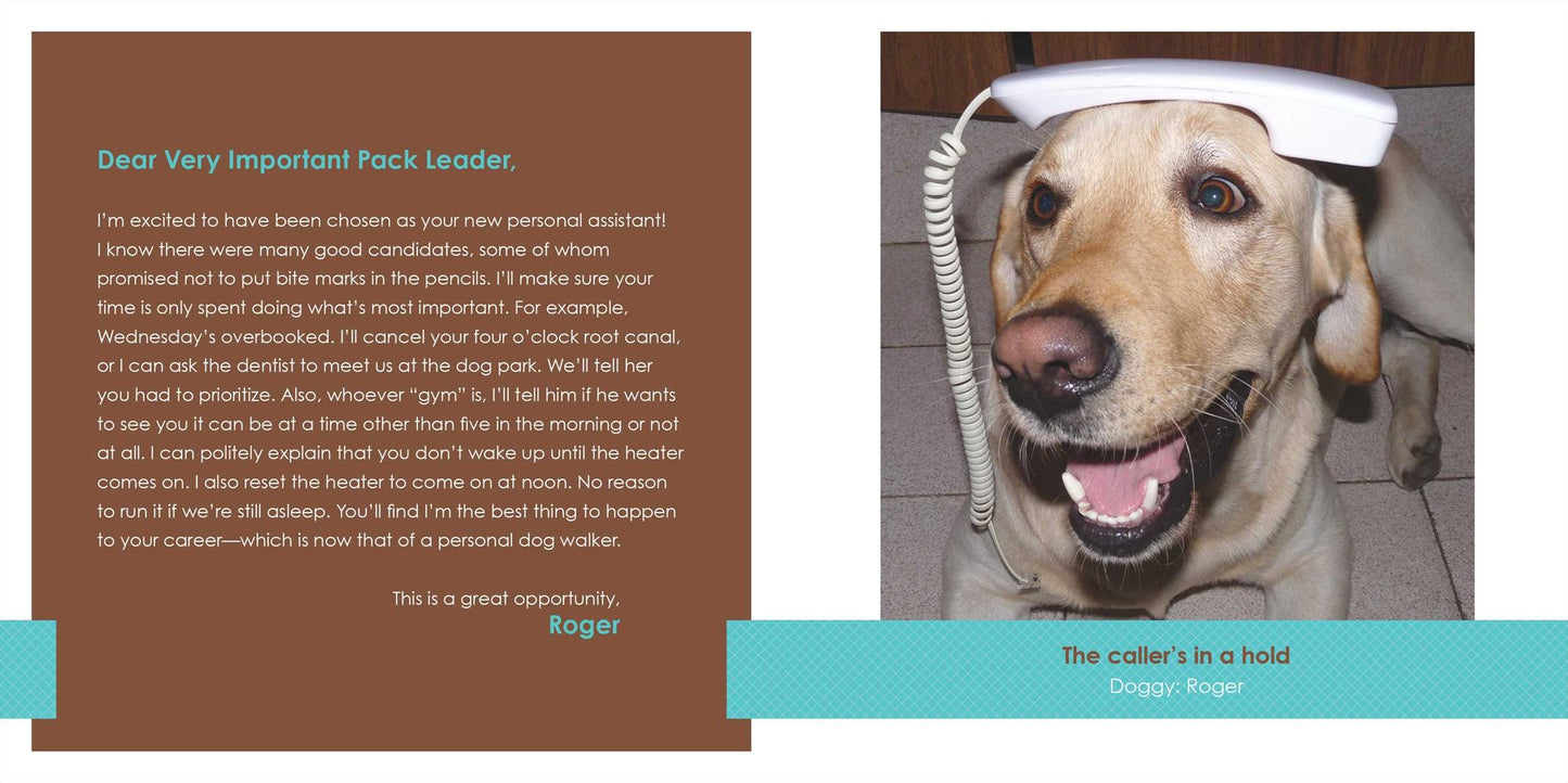 Sorry I Humped Your Leg: (and Other Letters from Dogs Who Love Too Much)