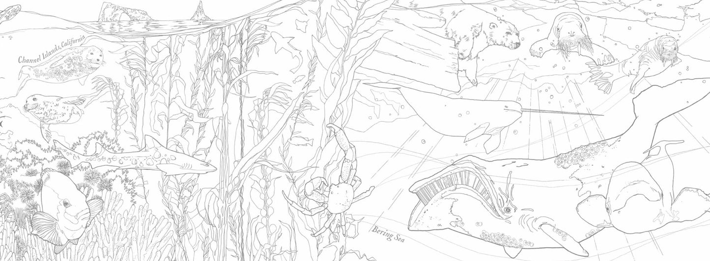Posh Panorama Adult Coloring Book: Oceans Unfurled