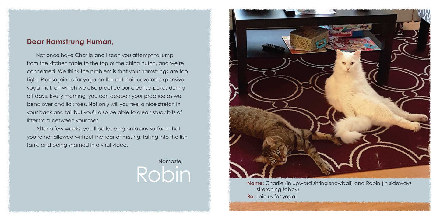 Sorry I Barfed on Your Bed Again: (and More Heartwarming Letters from Kitty)