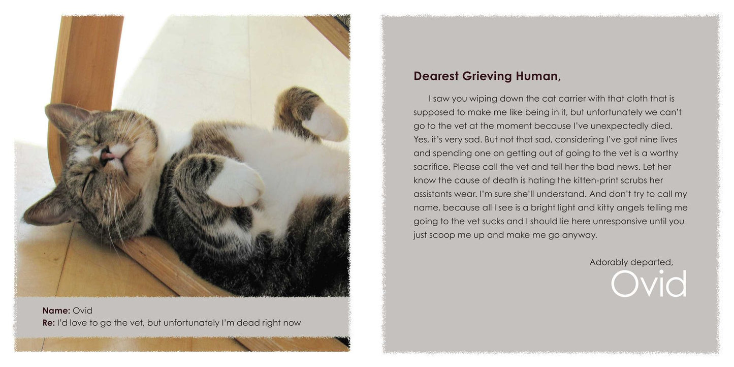 Sorry I Barfed on Your Bed Again: (and More Heartwarming Letters from Kitty)
