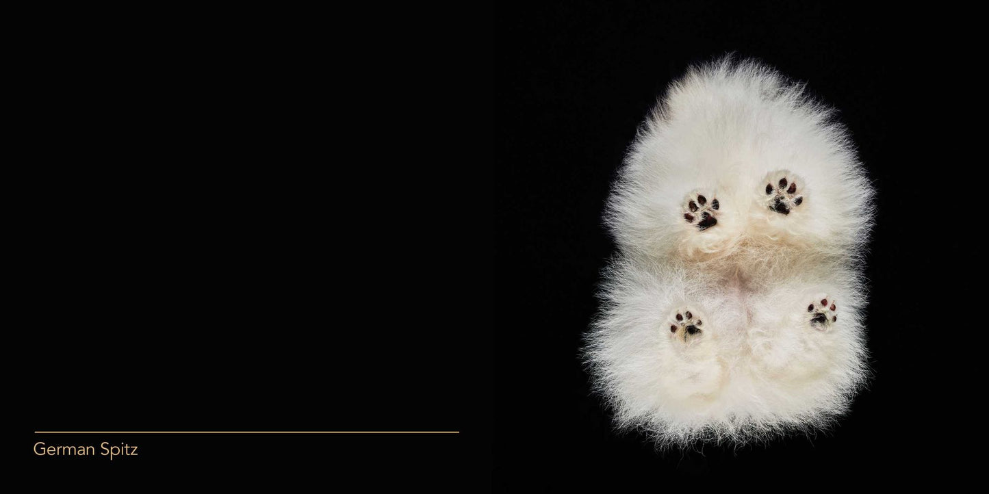 Under Dogs
