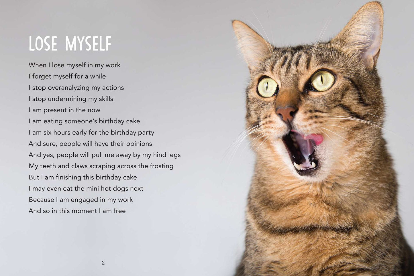 All Cats Are Introverts: Poems by Pensive Pets