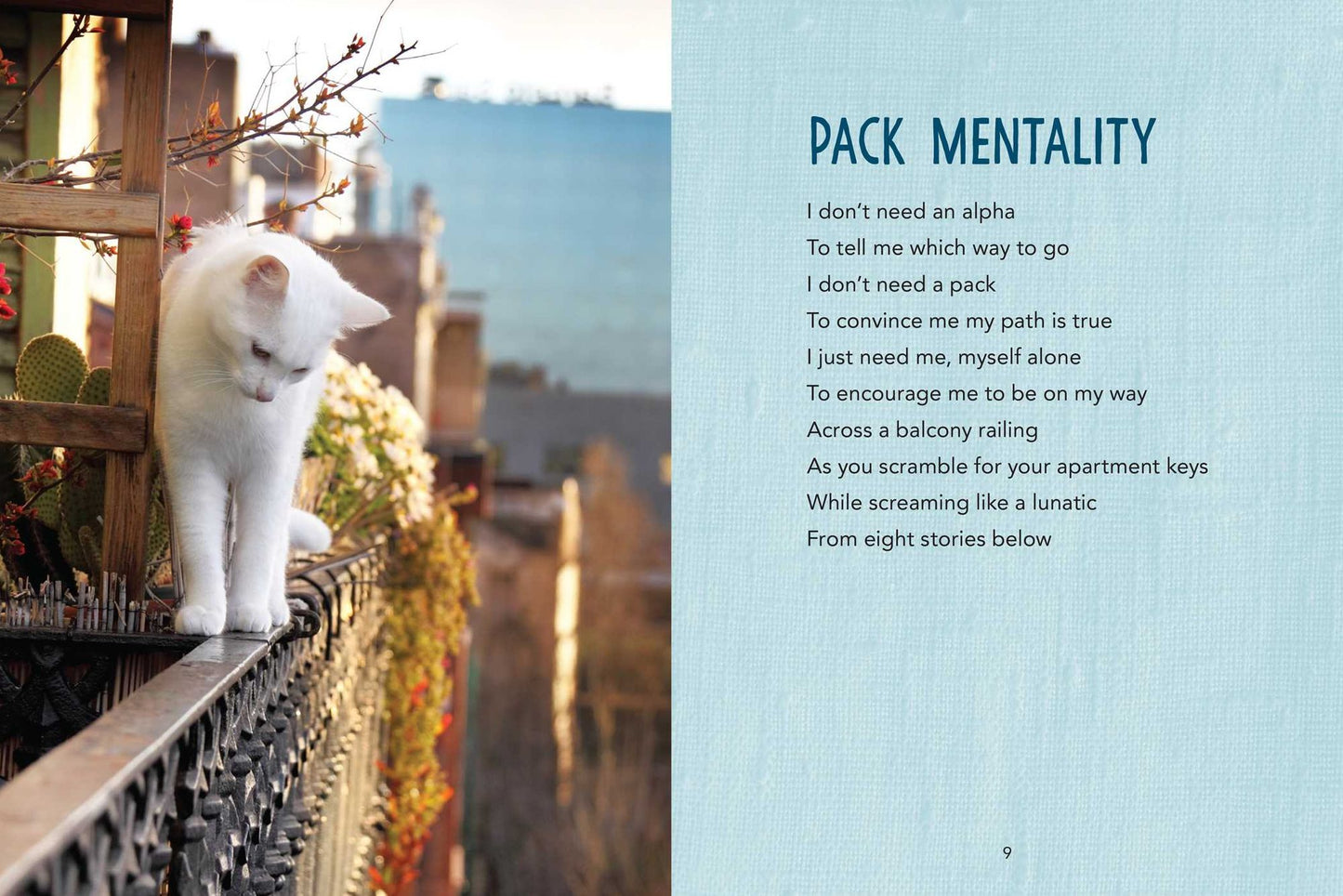 All Cats Are Introverts: Poems by Pensive Pets