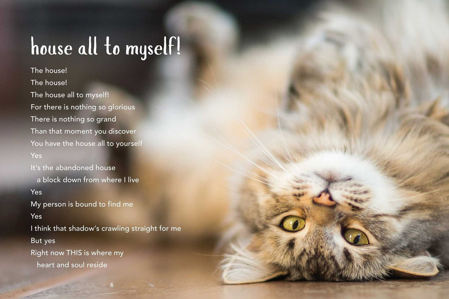 All Cats Are Introverts: Poems by Pensive Pets