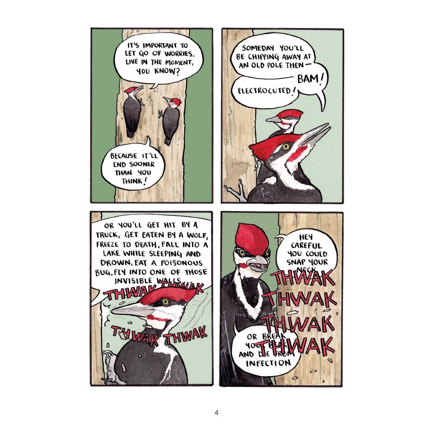 False Knees: An Illustrated Guide to Animal Behavior