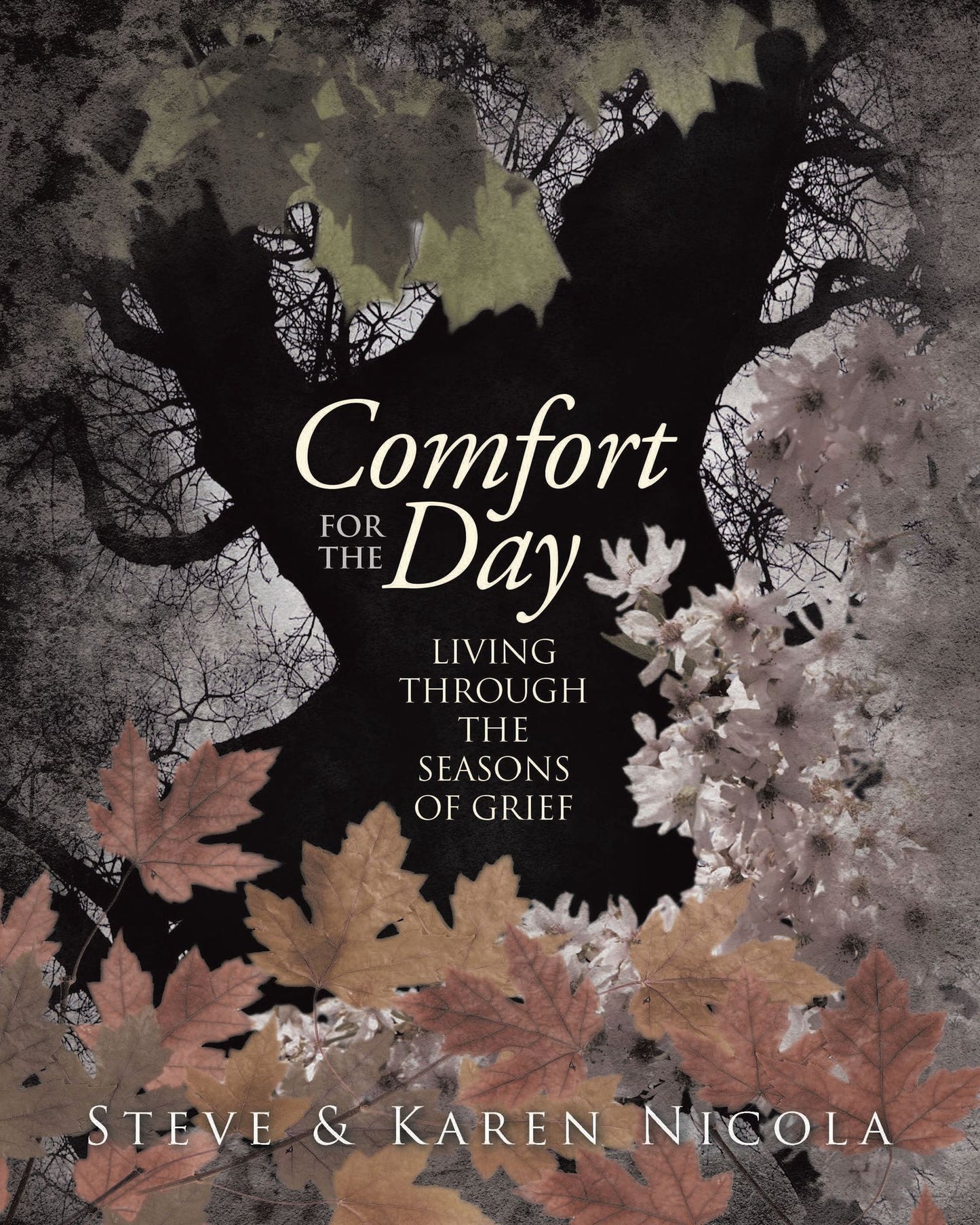 Comfort for the Day: : Living through the Seasons of Grief