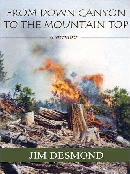 From Down Canyon to the Mountaintop