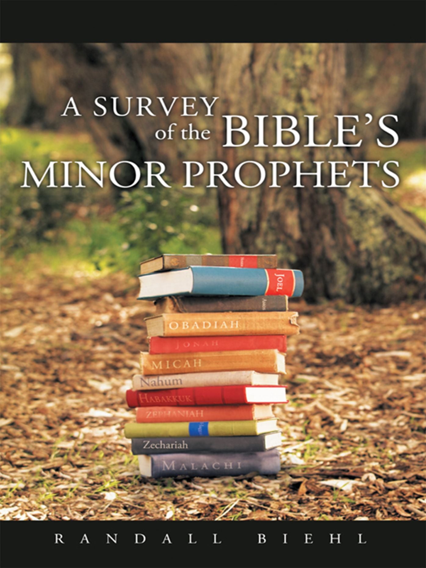 A Survey of the Bible's Minor Prophets