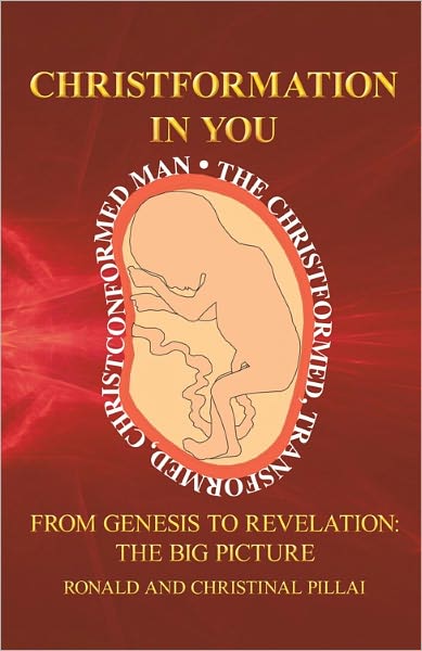 Christformation In You: From Genesis to Revelation: The Big Picture