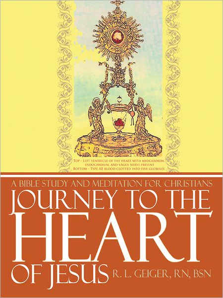 Journey to the Heart of Jesus: A Bible Study and Meditation for Christians