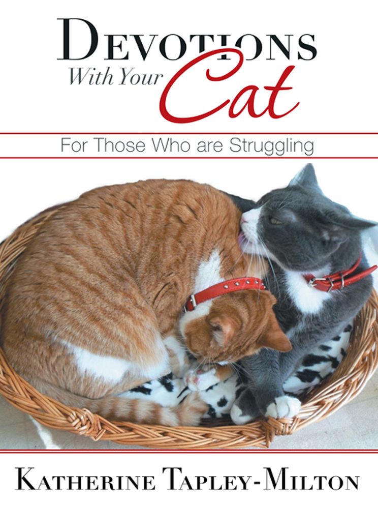Devotions With Your Cat: For Those Who are Struggling