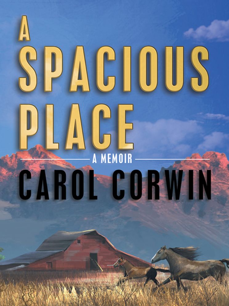 A Spacious Place