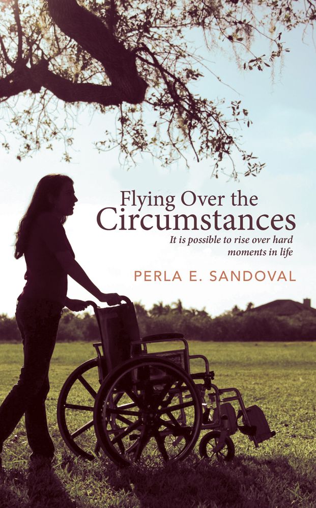 Flying Over the Circumstances: It is possible to rise over hard moments in life