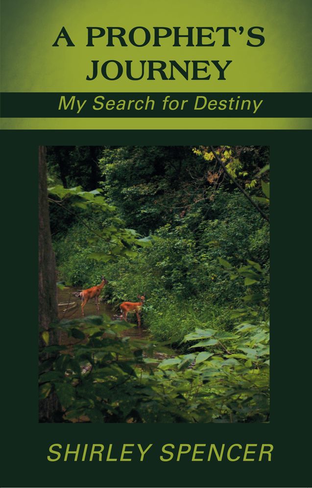 A Prophet's Journey: My Search for Destiny