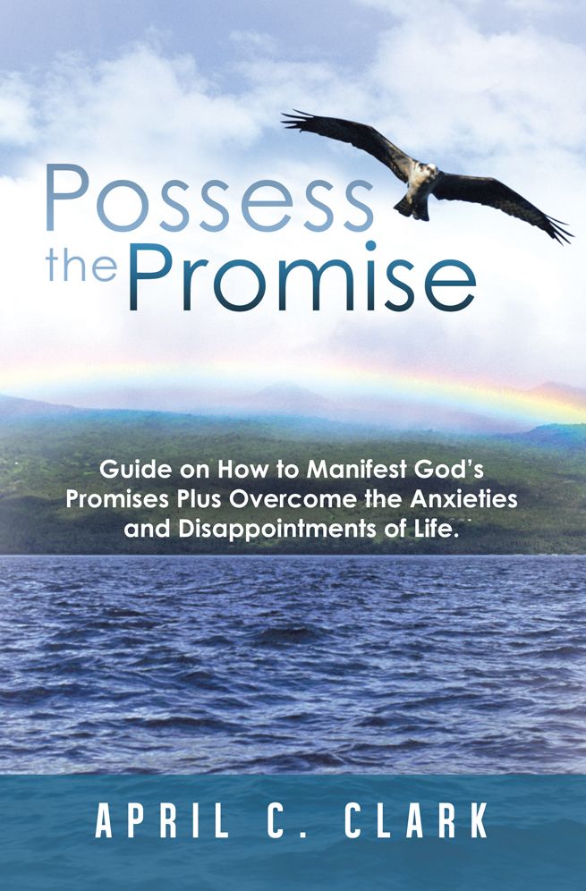 Possess the Promise: Guide on How to Manifest God's Promises Plus Overcome the Anxieties and Disappointments of Life.