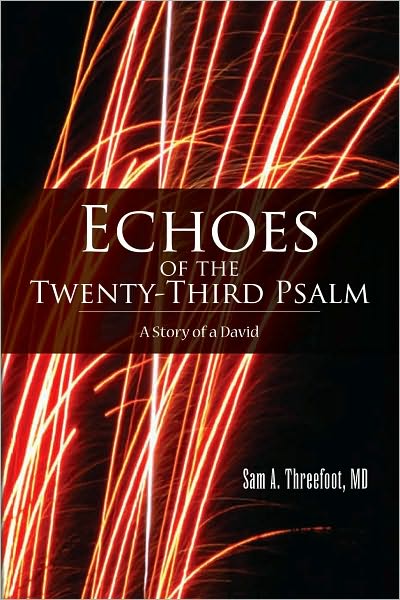 Echoes of the Twenty-Third Psalm: A Story of a David