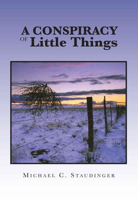 A Conspiracy of Little Things