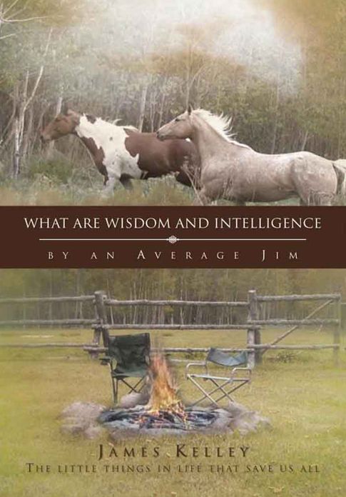 What Are Wisdom and Intelligence: by an Average Jim