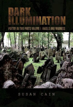 Dark Illumination: Poetry in Two Parts Volume I: Angels and Madness