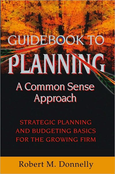 GUIDE BOOK TO PLANNING - A COMMON SENSE APPROACH: Strategic Planning and Budgeting Basics for the Growing Firm