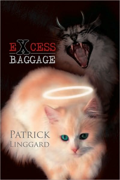 EXCESS BAGGAGE