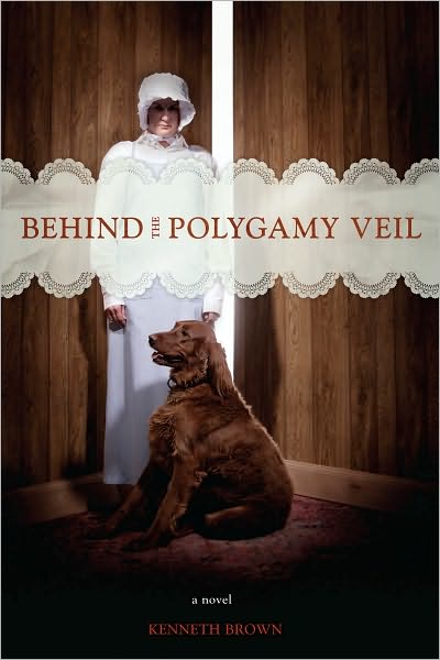 BEHIND THE POLYGAMY VEIL: a novel