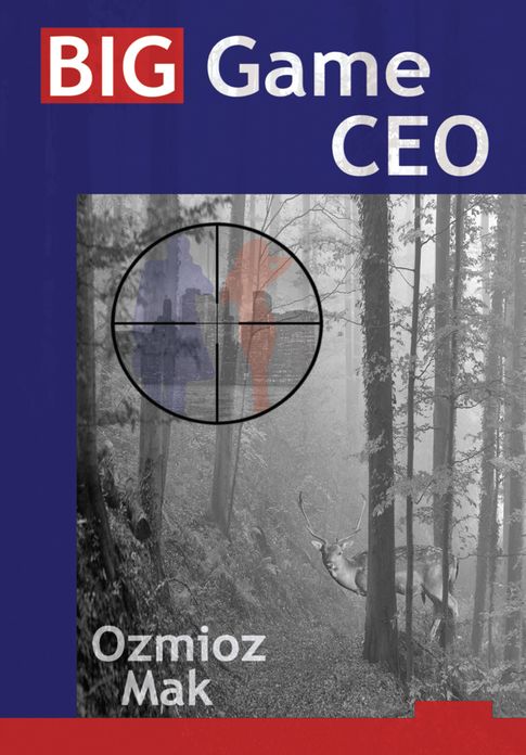 Big Game Ceo