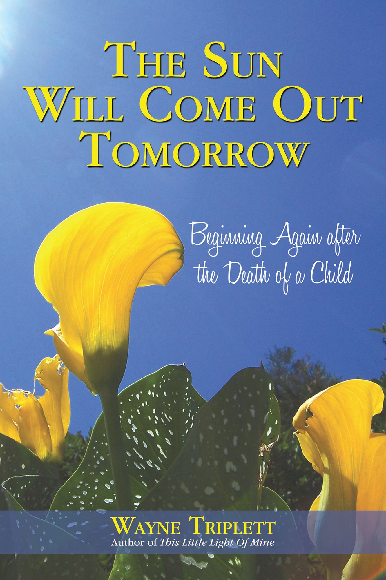 The Sun Will Come Out Tomorrow: Beginning Again after the Death of a Child