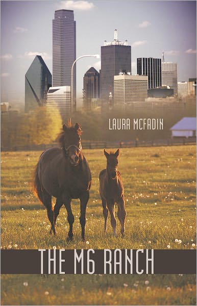 The M 6 Ranch