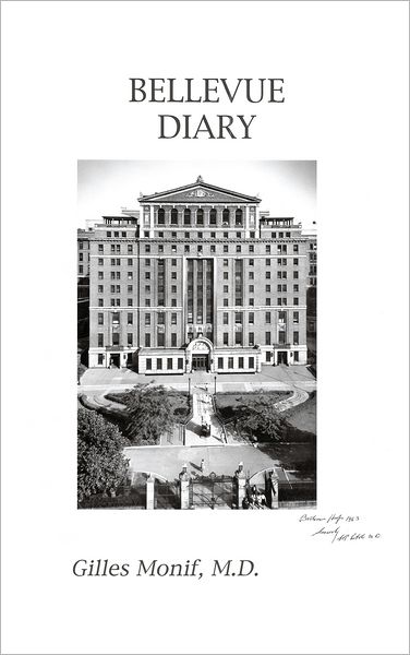 Bellevue Diary: Lights within the Shadows