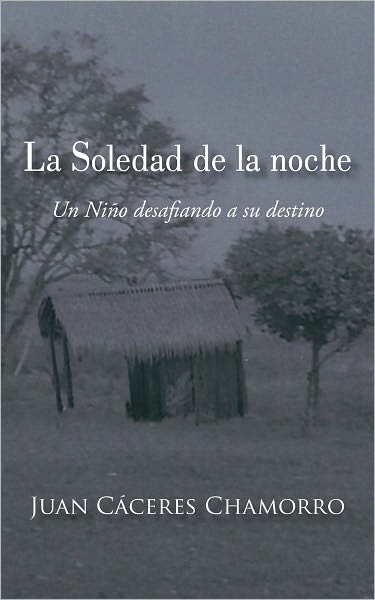 La Soledad de la noche: Un Niño desafiando a su destino