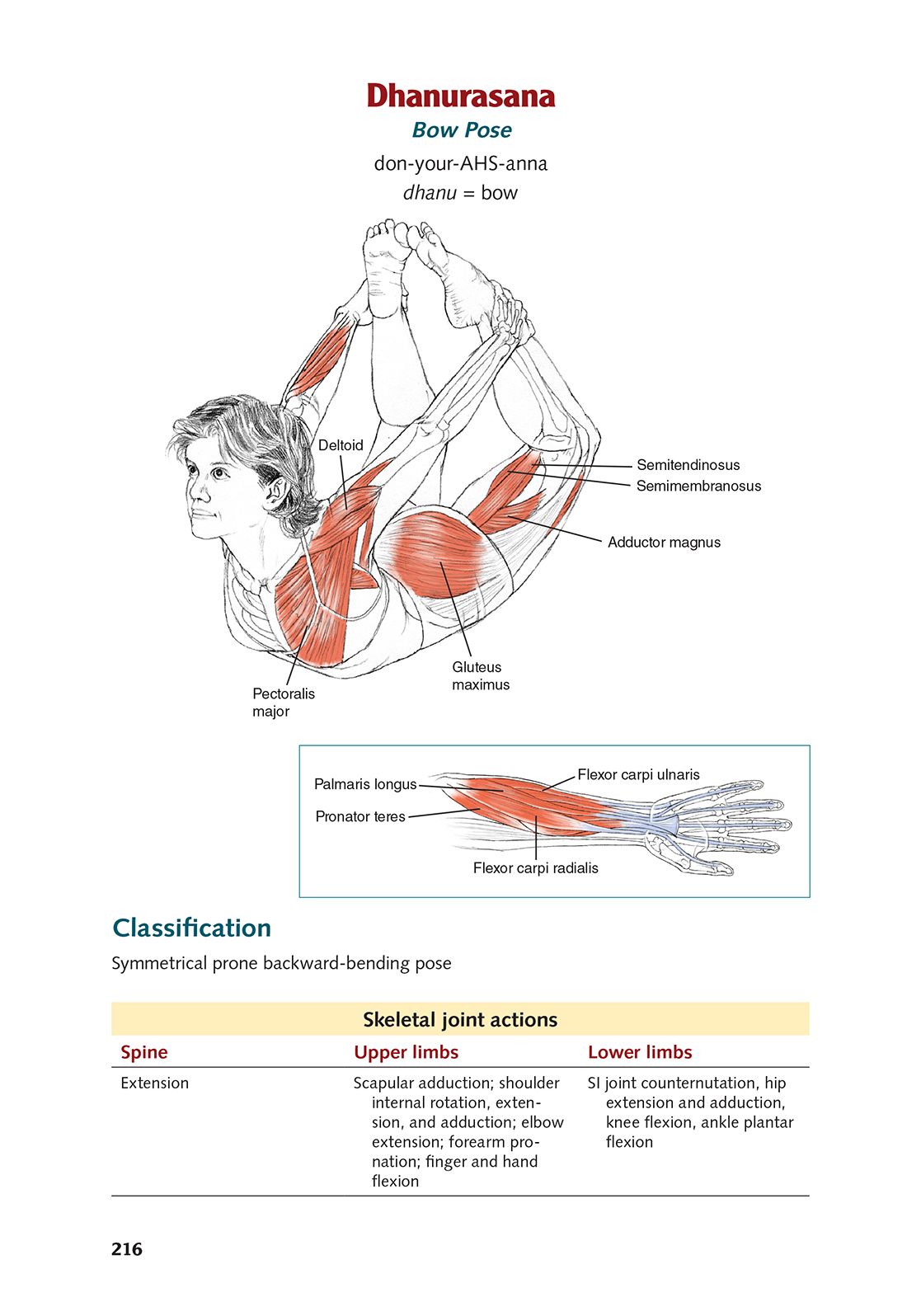 Yoga Anatomy-2nd Edition