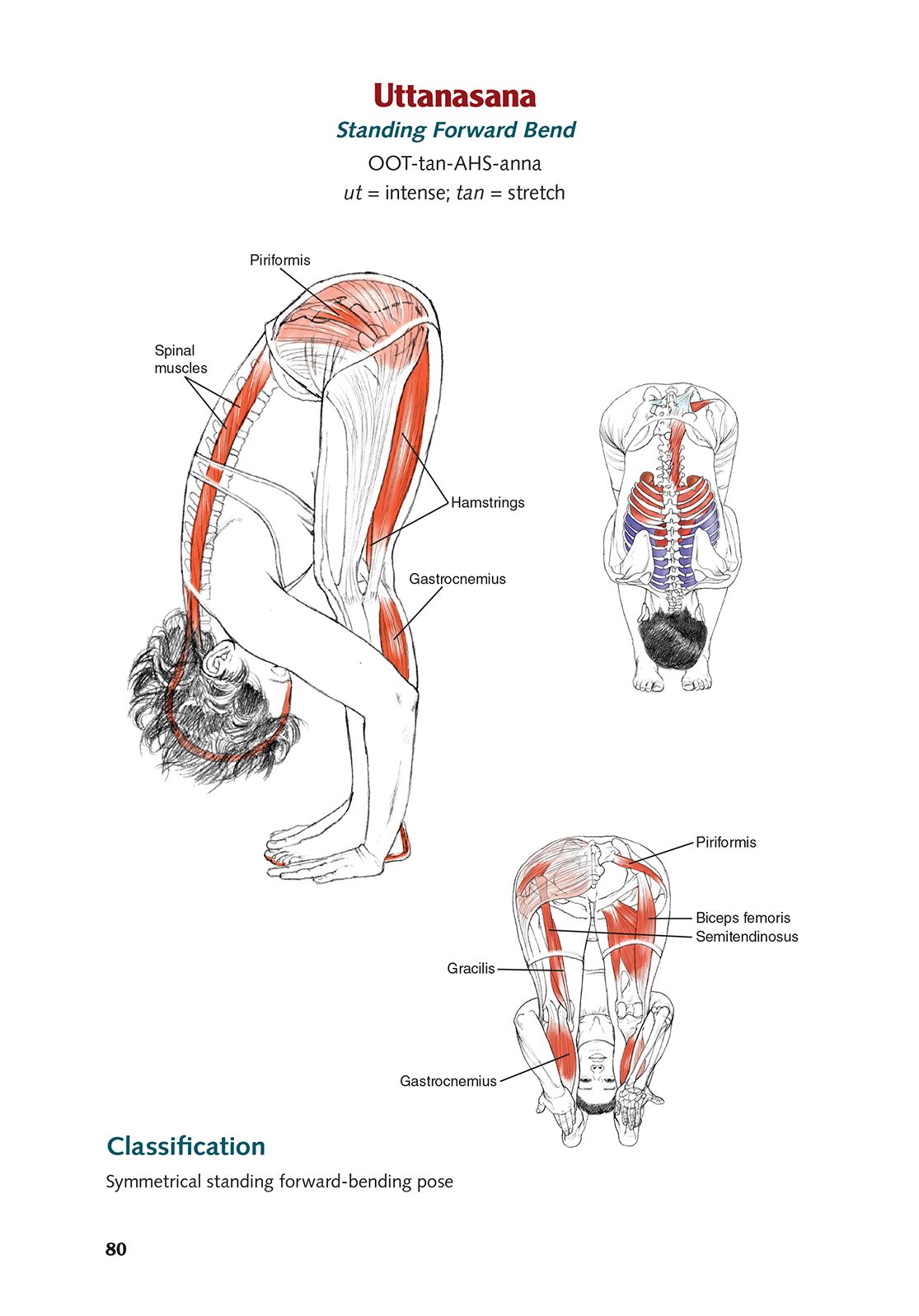 Yoga Anatomy-2nd Edition