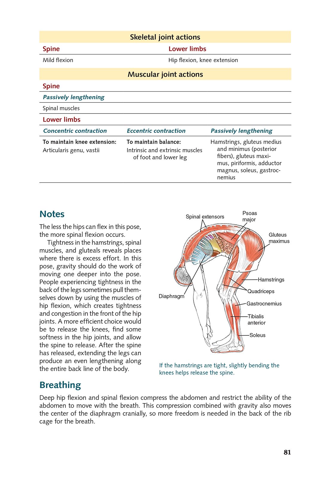 Yoga Anatomy-2nd Edition