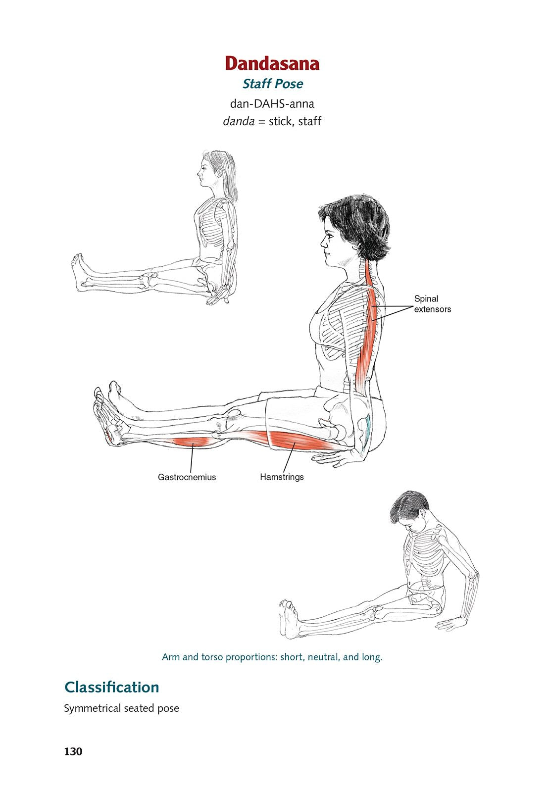 Yoga Anatomy-2nd Edition