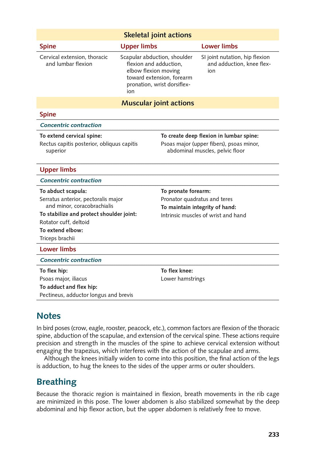 Yoga Anatomy-2nd Edition