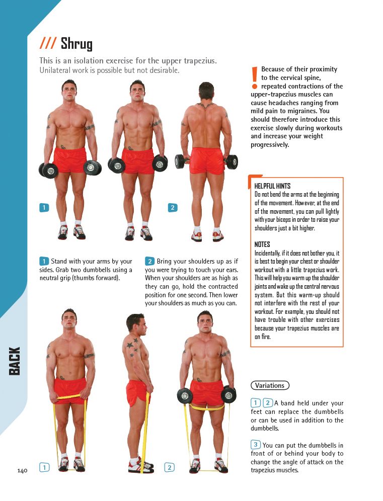 The Strength Training Anatomy Workout